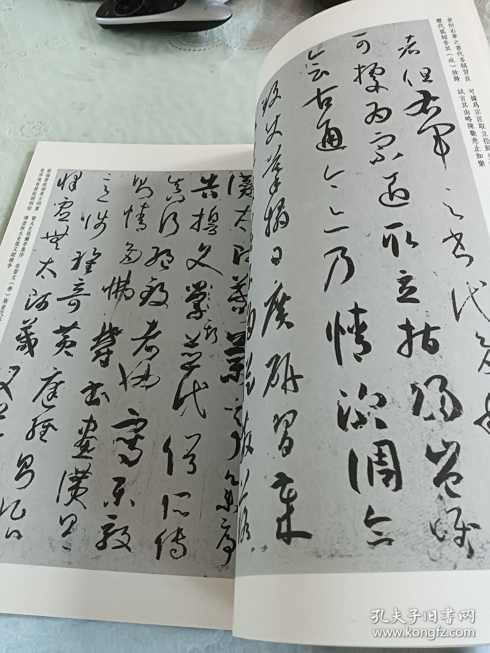 中国历代书法碑帖精粹：孙过庭书谱