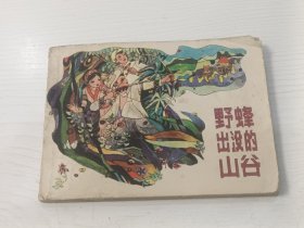 连环画 野蜂出没的山谷