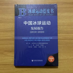 冰球运动蓝皮书：中国冰球运动发展报告（2019～2020）