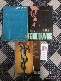 人体美术资料