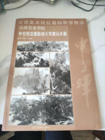 高等美术学院基础教学教法：申世辉泼墨散锋大写意山水画