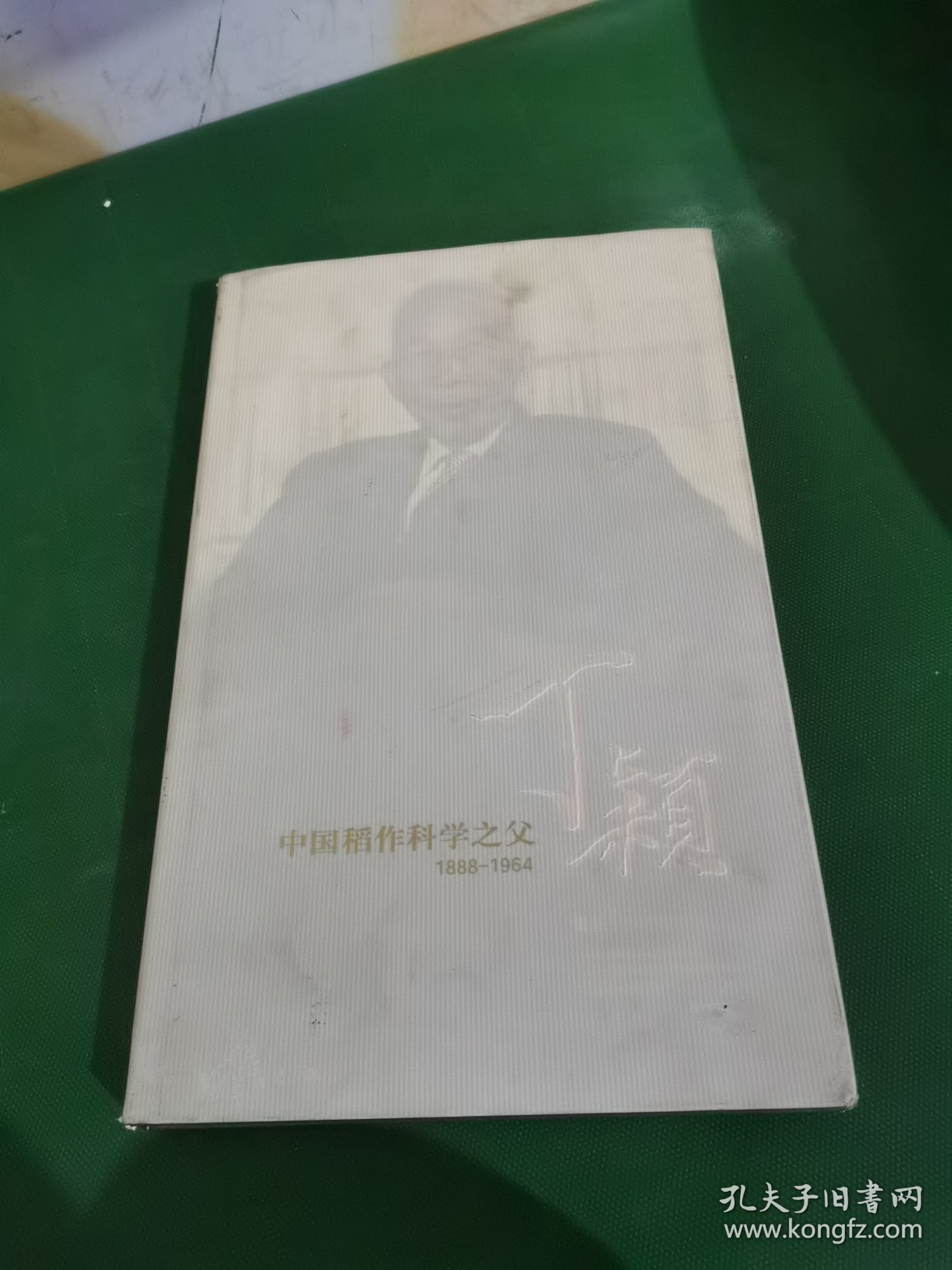 中国稻作科学之父，丁颖