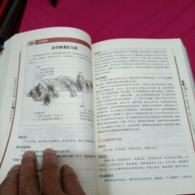 图解葬书：助你振兴家业的阴宅风水经典