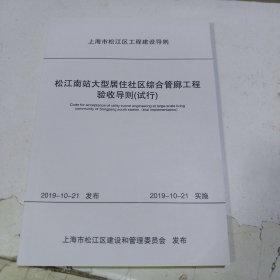 松江南站大型居住社区综合管廊工程验收导则（试行）/上海市松江区工程建设导则