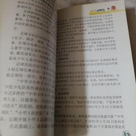 体验足球  快乐成长 : 中华少年牵手小甲A足球活动