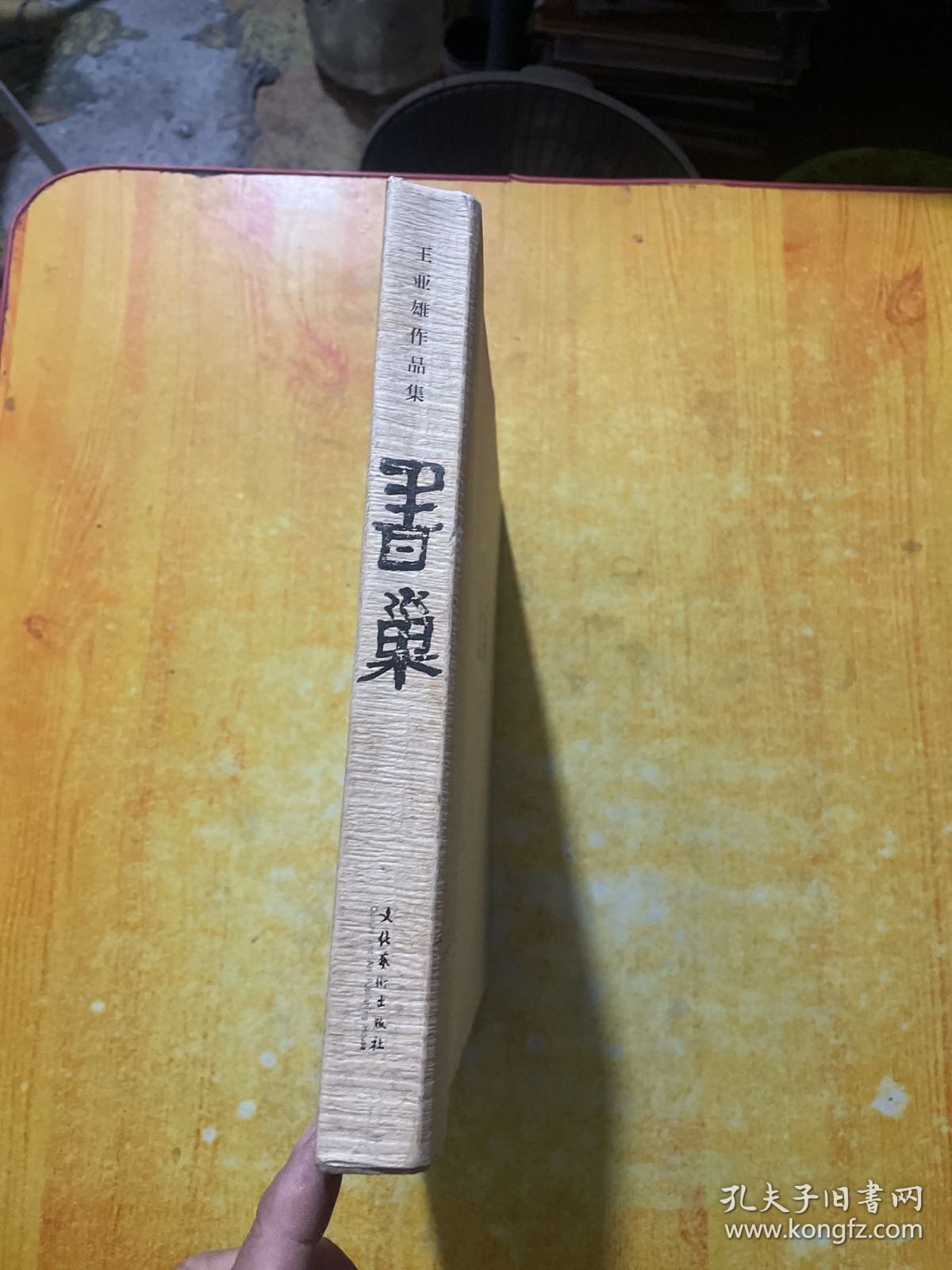 书巢王业雄作品集