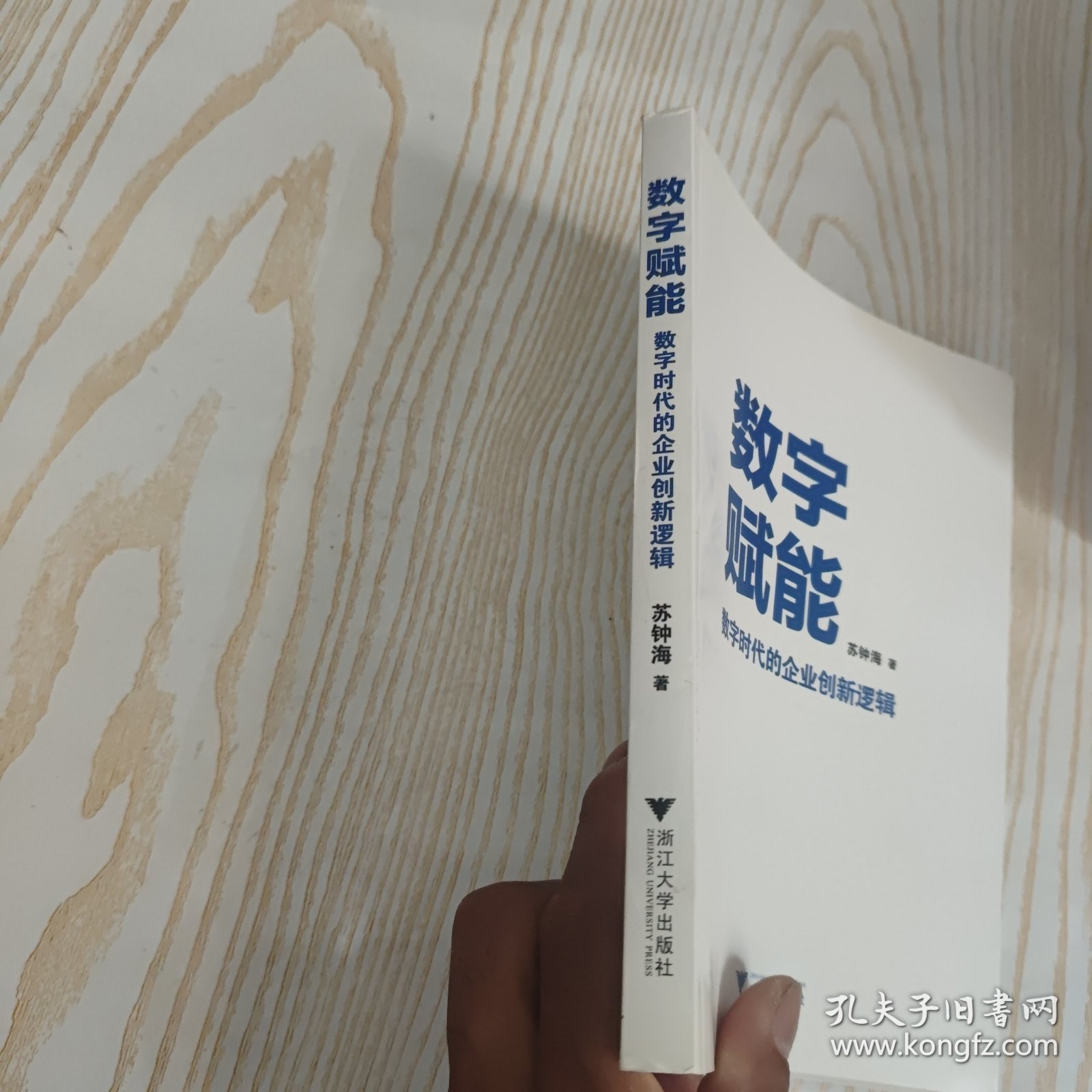 数字赋能：数字时代的企业创新逻辑（数字赋能的概览图，数字时代的思维方式和行动路线）