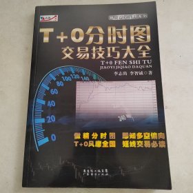 T+0分时图交易技巧大全