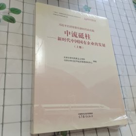 中流砥柱--新时代中国国有企业的发展（上册）