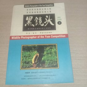 黑镜头(1-6册合售)