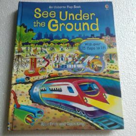 Usborne看里面系列 地底下 See Under the Ground 英文原版绘本 儿童认知科普读物精装纸板书 趣味科普翻翻书【 精装正版 品新实拍 】