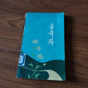 野菊花，朝鲜文