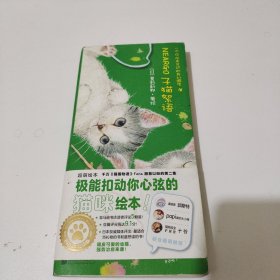 子猫絮语