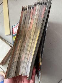 黑客X档案2007年全年 1-12月加增刊一本(13本)无光盘