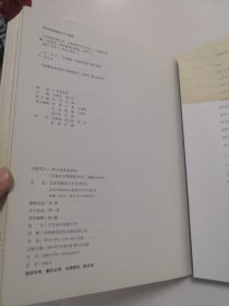 石鲁的时代与艺术