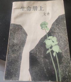 生命册上