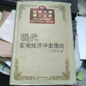 吉林大学博士文库 现代宏观经济冲击理论