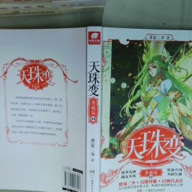 天珠变典藏版14  唐家三少著 湖南少年儿童出版社