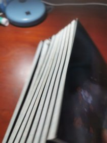 寻找前世之旅7，9，16，17，18，19，20，22，25