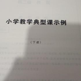 小学教学典型课示例(下)