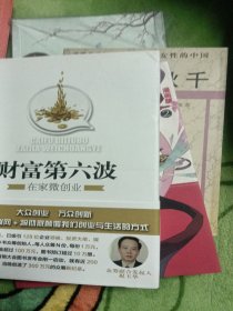 财富第六波·在家微创业