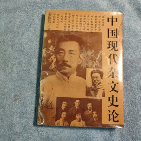 中国现代杂文史论 (一版一印) 正版