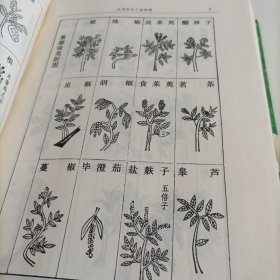 本草纲目下册（实拍图）书遭水