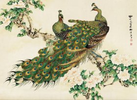 田世光 孔雀。纸本大小70.08*51.5厘米。宣纸艺术微喷复制。95元非偏远包邮