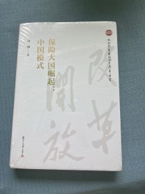 保险大国崛起：中国模式（纪念改革开放四十周年丛书）