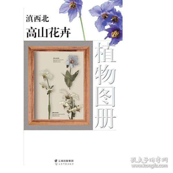 滇西北高山花卉植物图册