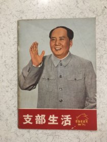 支部生活 革命样板戏画刊