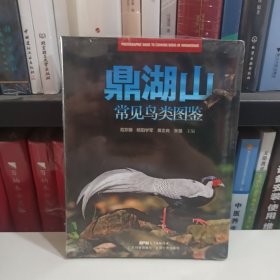 鼎湖山常见鸟类图鉴