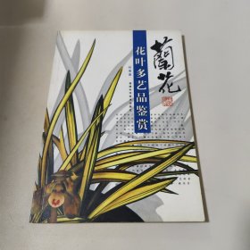 兰花花叶多艺品鉴赏