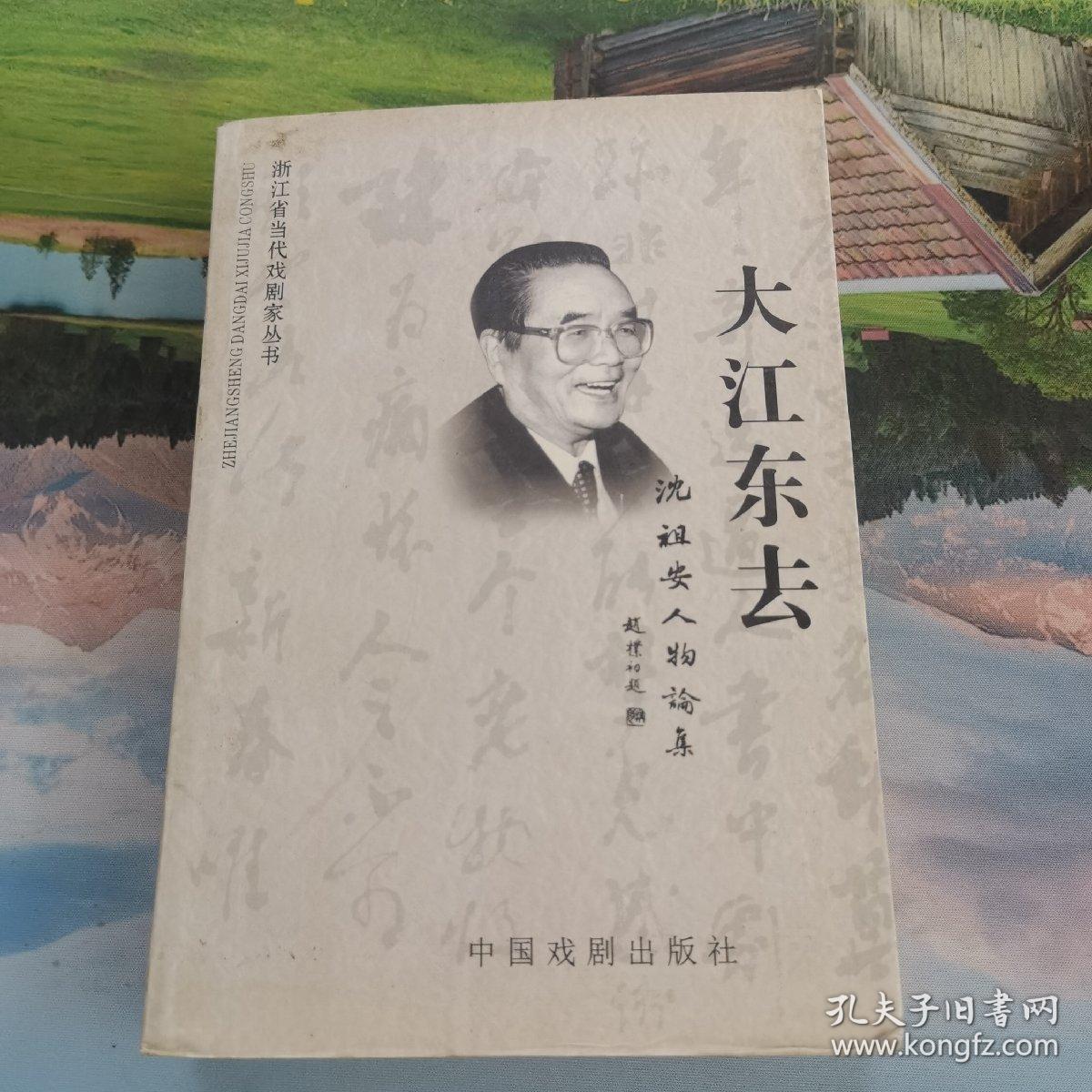 大江东去 沈祖安人物论集