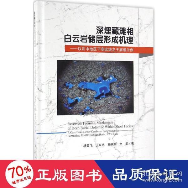 深埋藏滩相白云岩储层形成机理：以川中地区下寒武统龙王庙组为例
