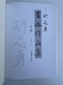 起步——胡志勇书法作品集