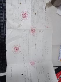 临漳县人民法院拘留决定书【空白的】