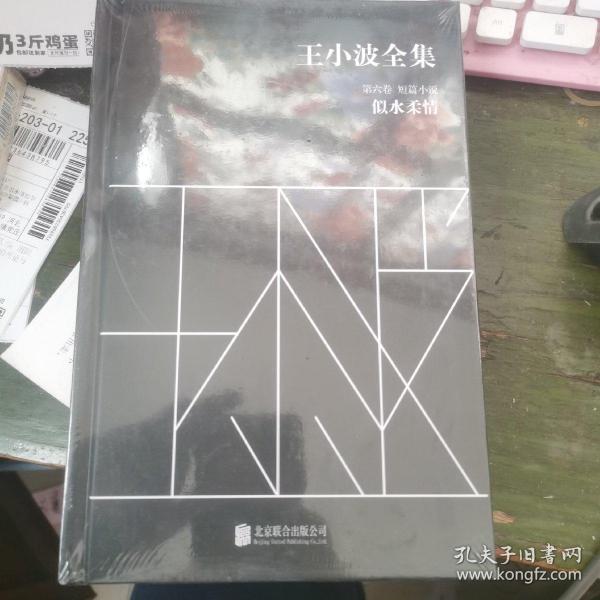 王小波全集（第六卷 短篇小说）：似水柔情