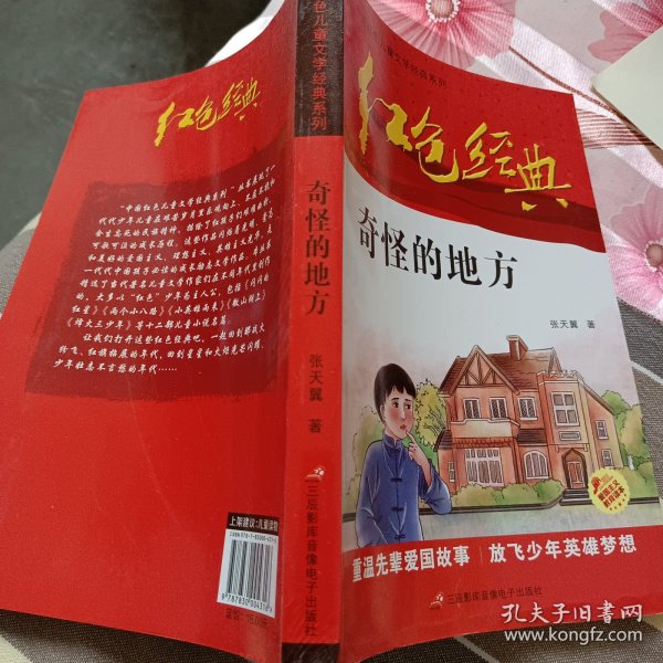 红色经典—奇怪的地方 中国红色儿童文学经典系列 小学生四五六年级课外书 少年励志红色经典书籍故事书 革命传统教育读本爱国