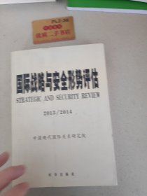 国际战略与安全形势评估（2013/2014）