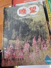 瞭望周刊1985年第11期