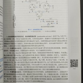 医学生理学（第4版）