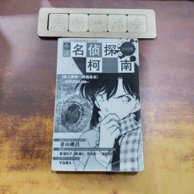 小说名侦探柯南（特别篇）：给工藤新一的挑战书 恋爱数式杀人事件