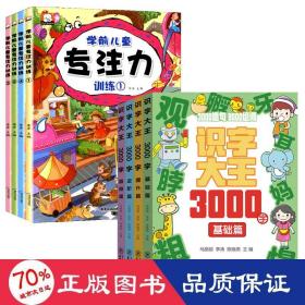 识字大王3000字(全4册)