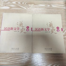 汉语新文学通史(上下)