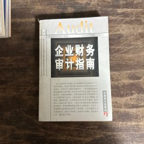 企业财务审计指南