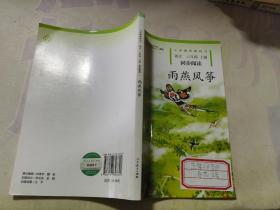 雨燕风筝 三年级上册 语文同步阅读 配统编版教材义务教育教科书