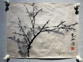 邓林，梅花国画