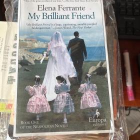 My Brilliant Friend：Neapolitan Novels, Book One