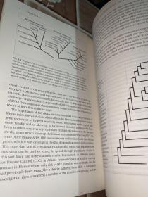 Molecular Evolution A Phylogenetic Approach